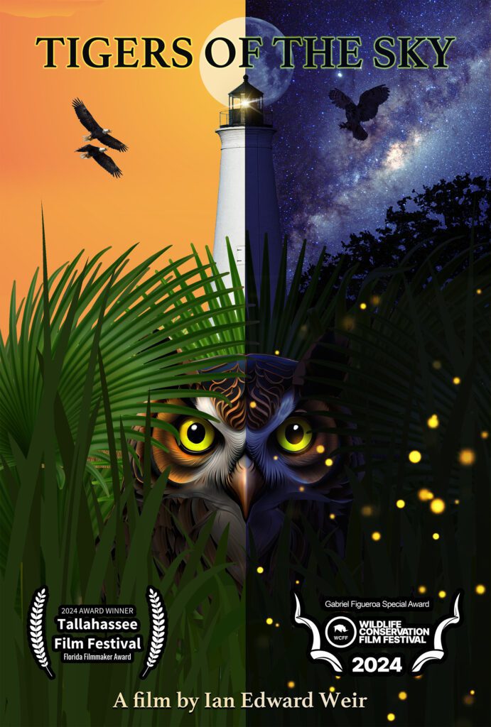 Poster for "Tigers of the Sky"