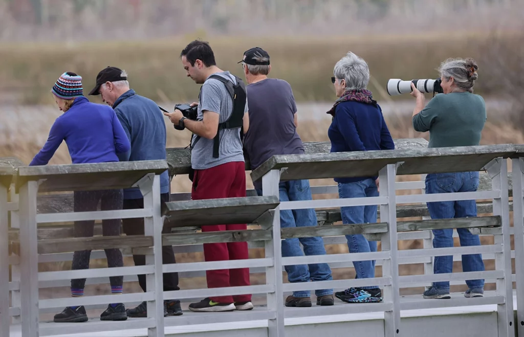 Birdwatchers at St. Marks National Wildlife Refuge