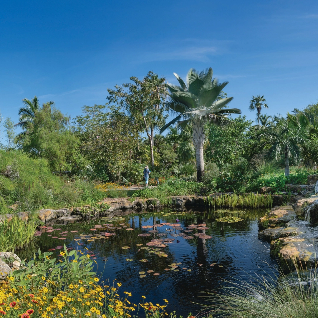 Naples Botanical Garden