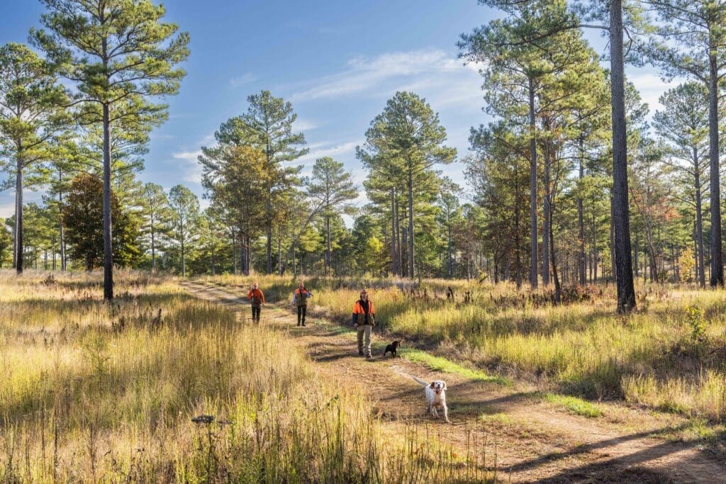 The Barnsley Resort: North Georgia's Charming Southern Escape 3 Wing shooting at the Barnsley