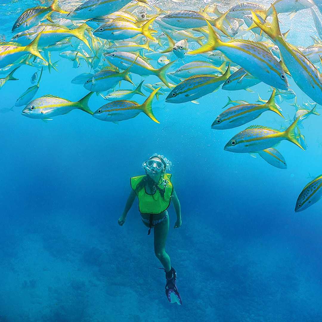 Key West snorkeling