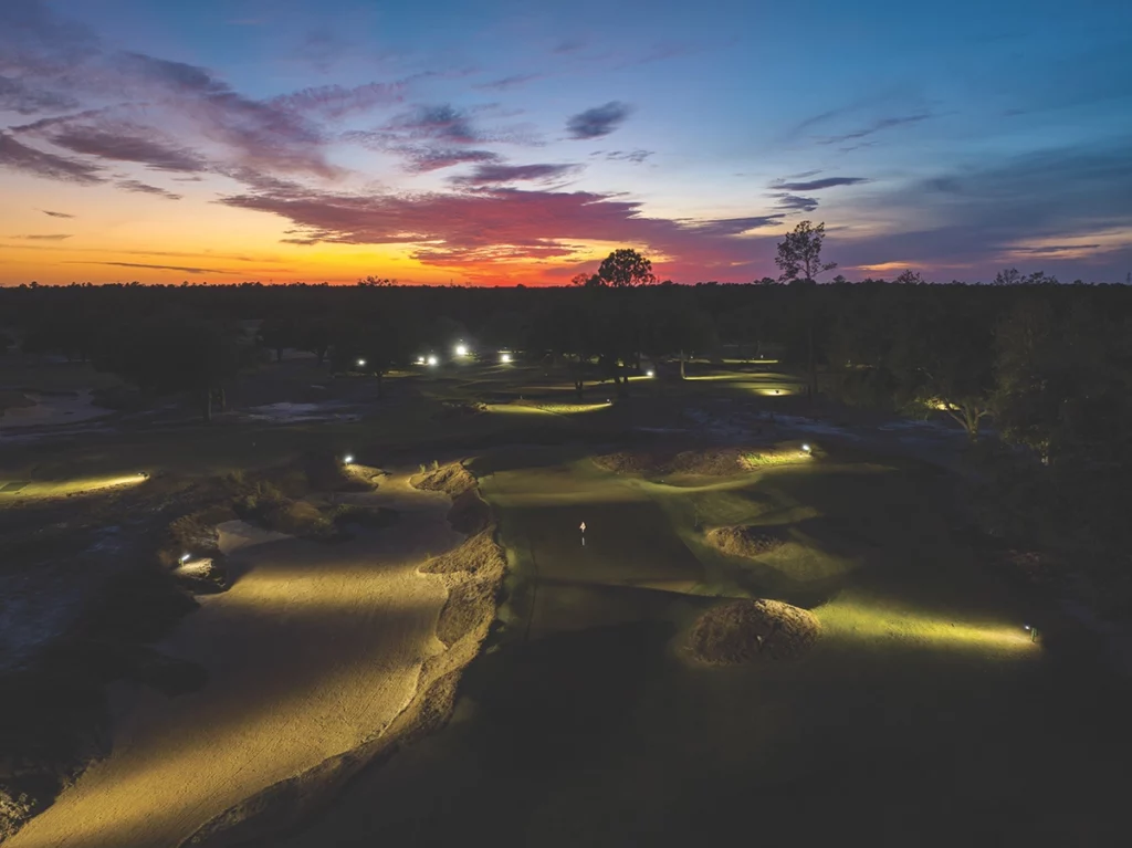 Flamingo CabotWedge 2025