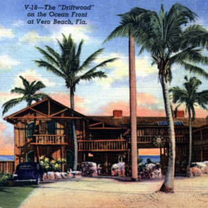 Flamingo DriftwoodPostcard 2025