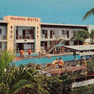 Flamingo VagabondPostcard 2025 1