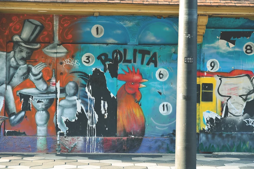 Florida's Feral Flocks: The Chickens of Ybor City and Key West 3 Flamingo ChickenGraffiti 2025