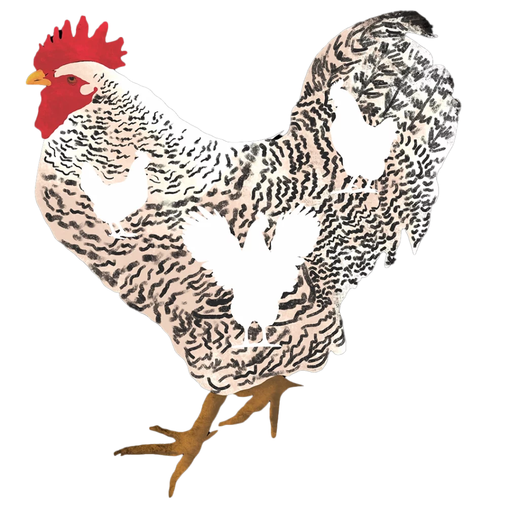 Florida's Feral Flocks: The Chickens of Ybor City and Key West 11 Flamingo ChickenIllo2 2025