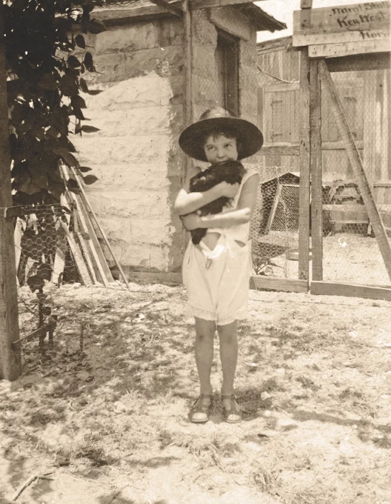 Florida's Feral Flocks: The Chickens of Ybor City and Key West 6 Flamingo VintageGirlWithChicken 2025
