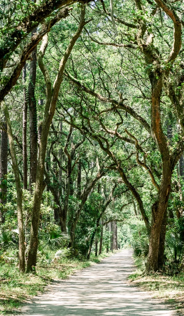 Our Editor Takes a Trip to Palmetto Bluff: South Carolina's Jewel on the River 5 Canopied trees line River Road, making it the perfect shady street for bikers and strollers.
