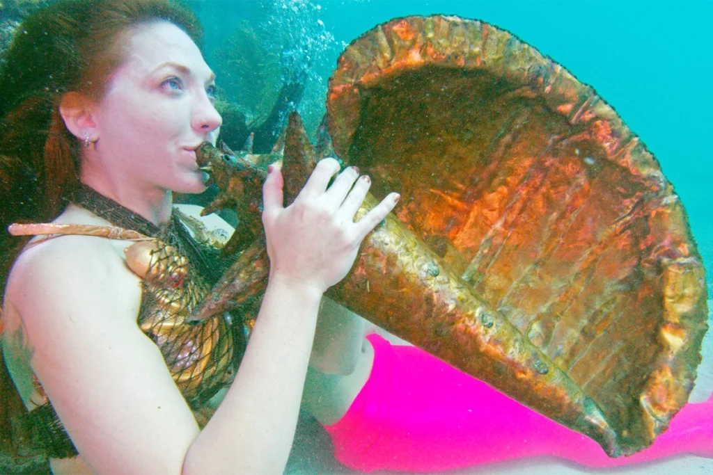 Must-Do July Events in Florida 6 Key West Underwater Music Festival Looe Key Reef