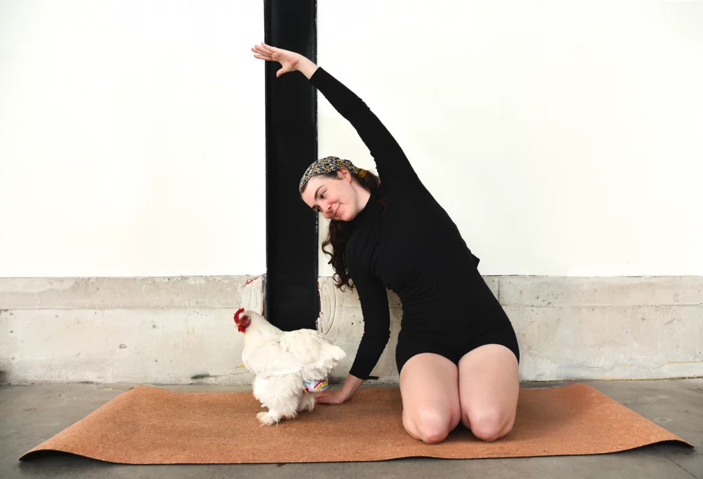 chickenyoga Flamingo