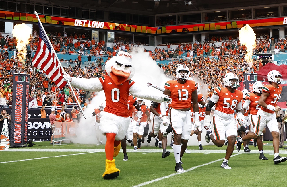 More Than Mascots: How 3 College Icons Became Football Legends 3 Sebastian the Ibis