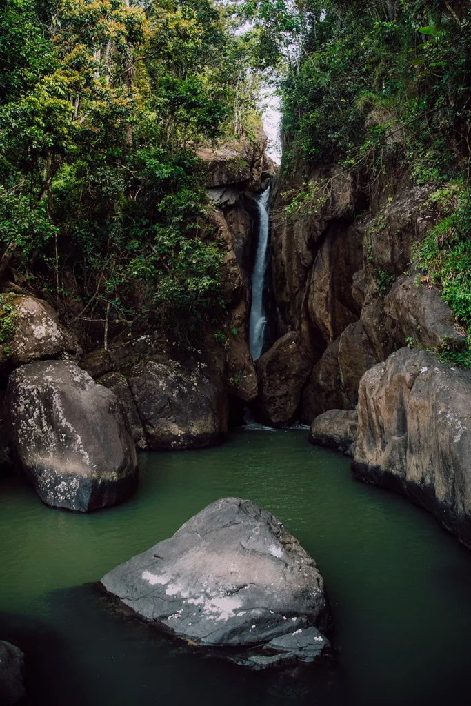 What To Do in San Juan 2 Flamingo Yunque 2025