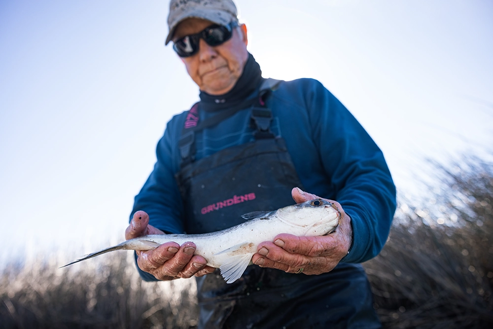 Why Mullet is Making Its Way Back on the Menu 10 Leo Lovel holds a mullet