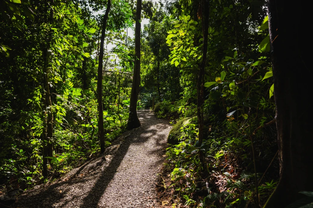 A Floridian's Guide to a Puerto Rico Getaway 2 El Yunque National Forest