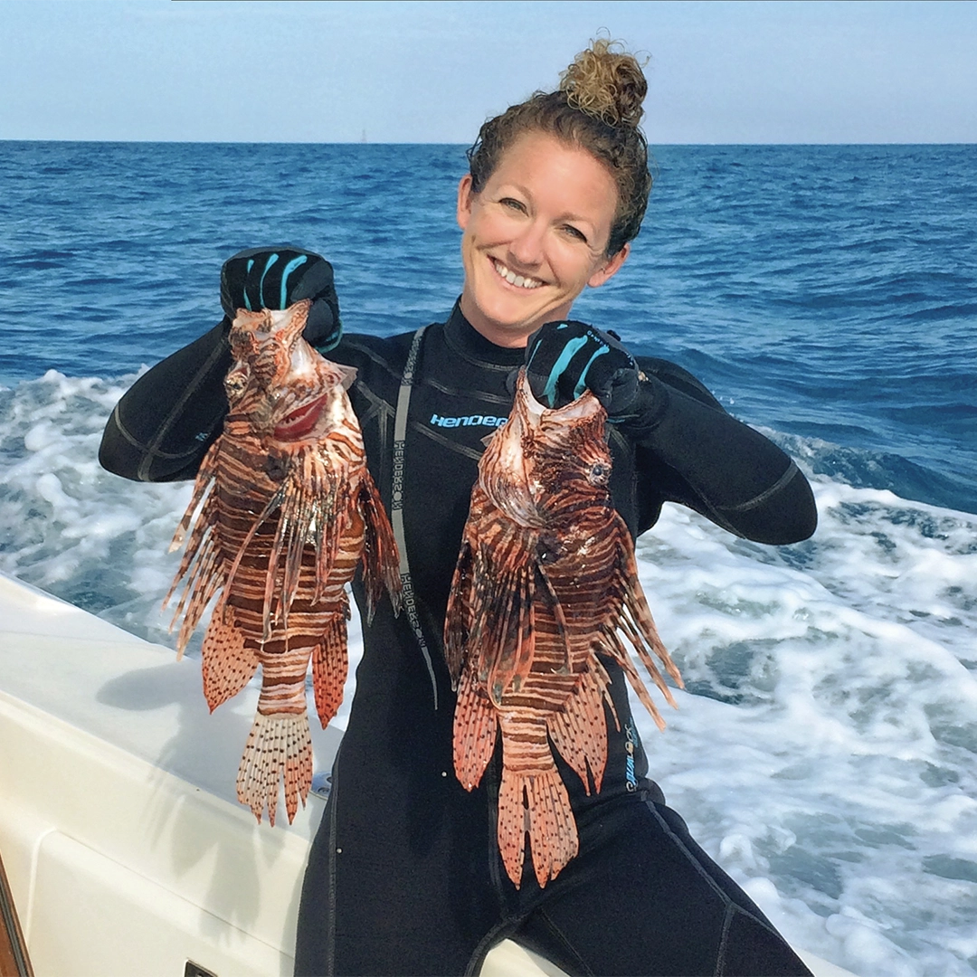 Flamingo RachelBowman 2025