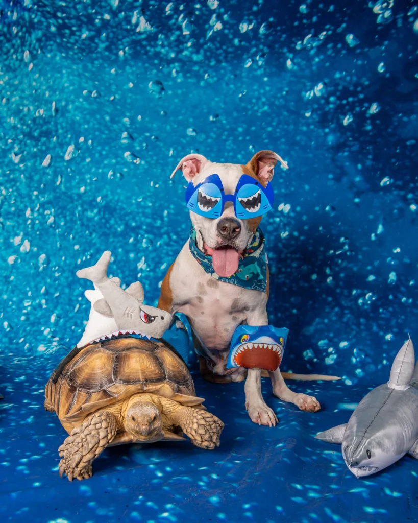 Meet Florida's Favorite Pets 5 DSC 0052 3