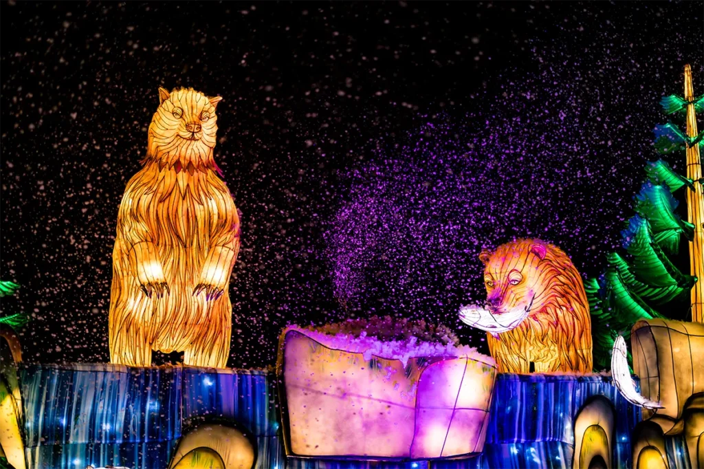 A lit lantern display at Colors of the Wild.