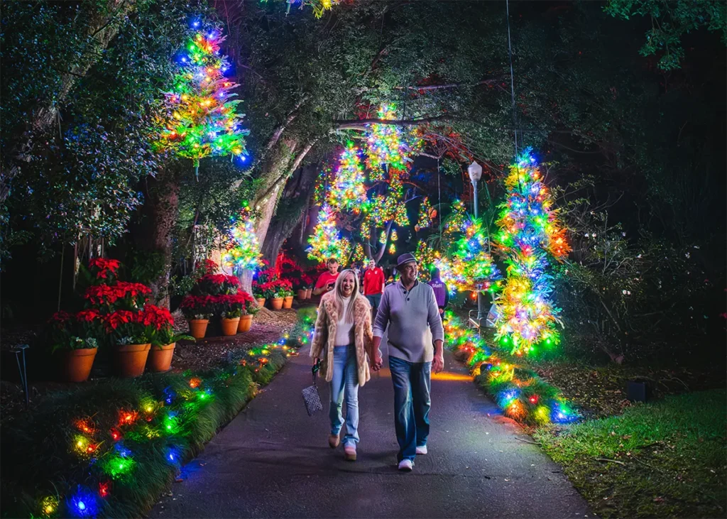 A lit pathway at Dazzling Nights.