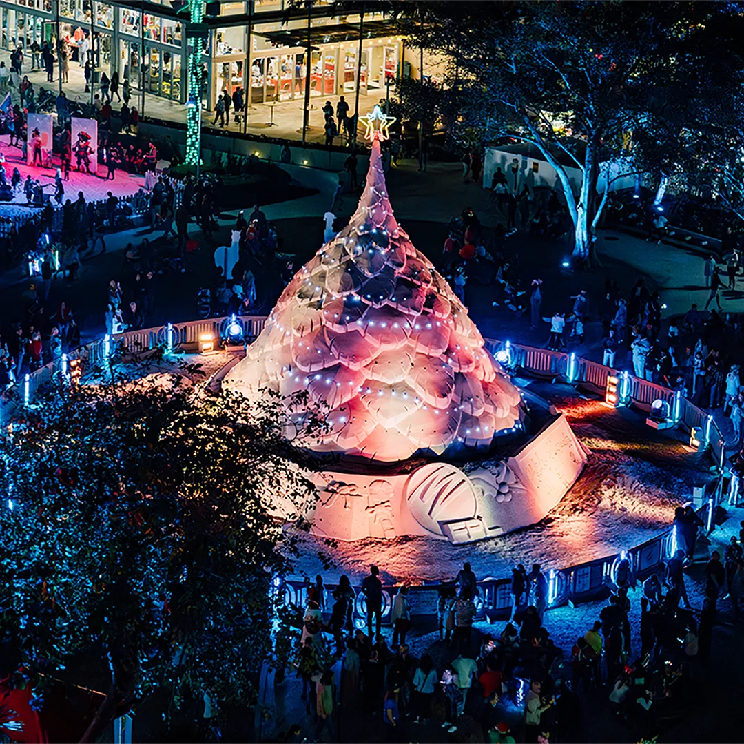 Sandi the Christmas tree.