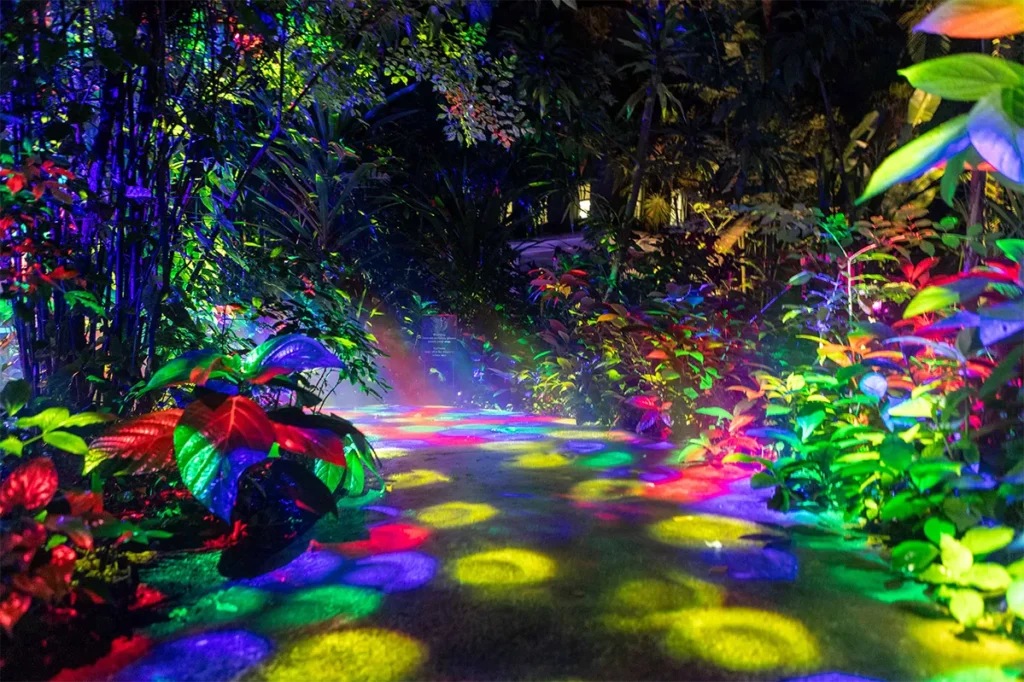 A lighting display at NightGarden.