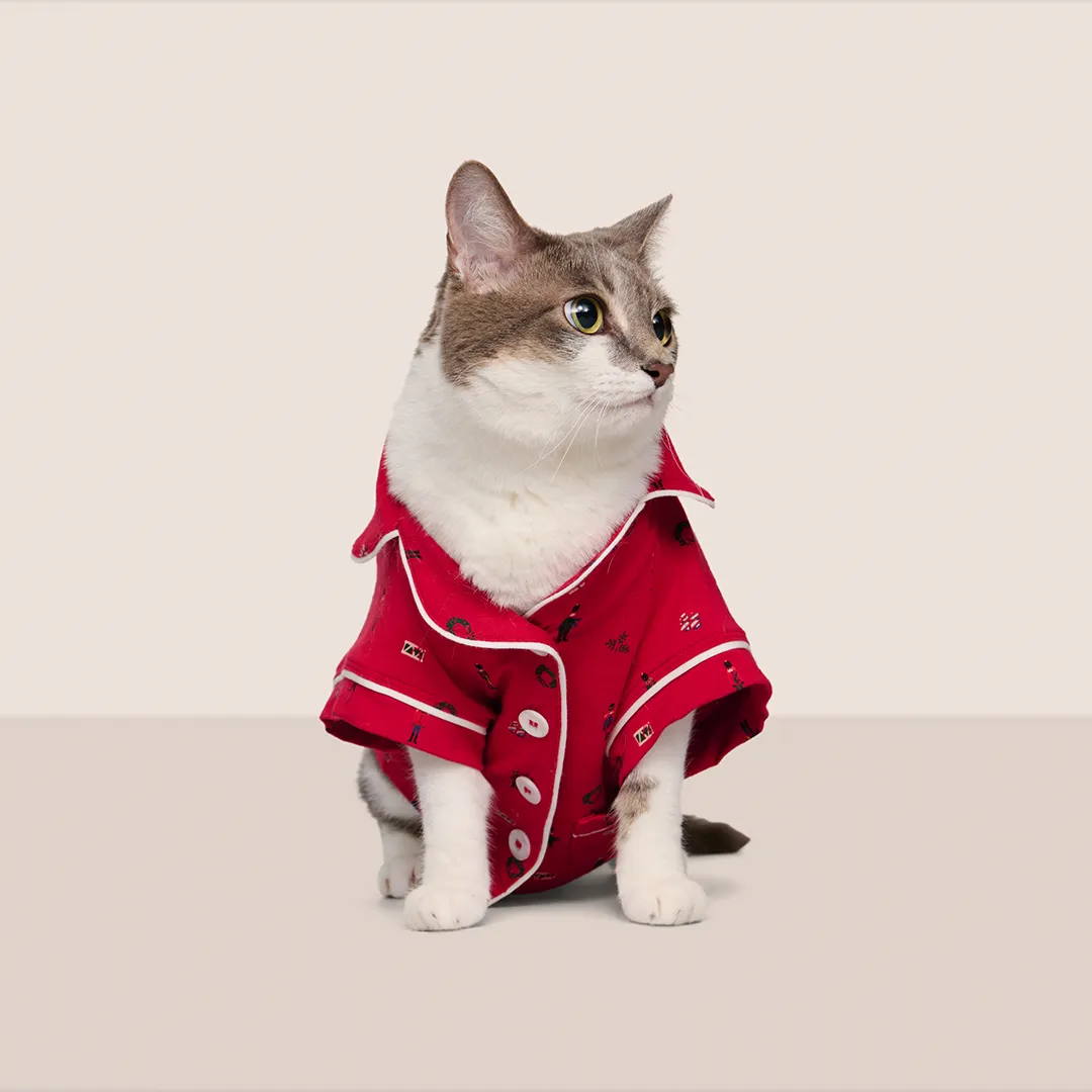 A cat in an Eberjey holiday pet PJ set.