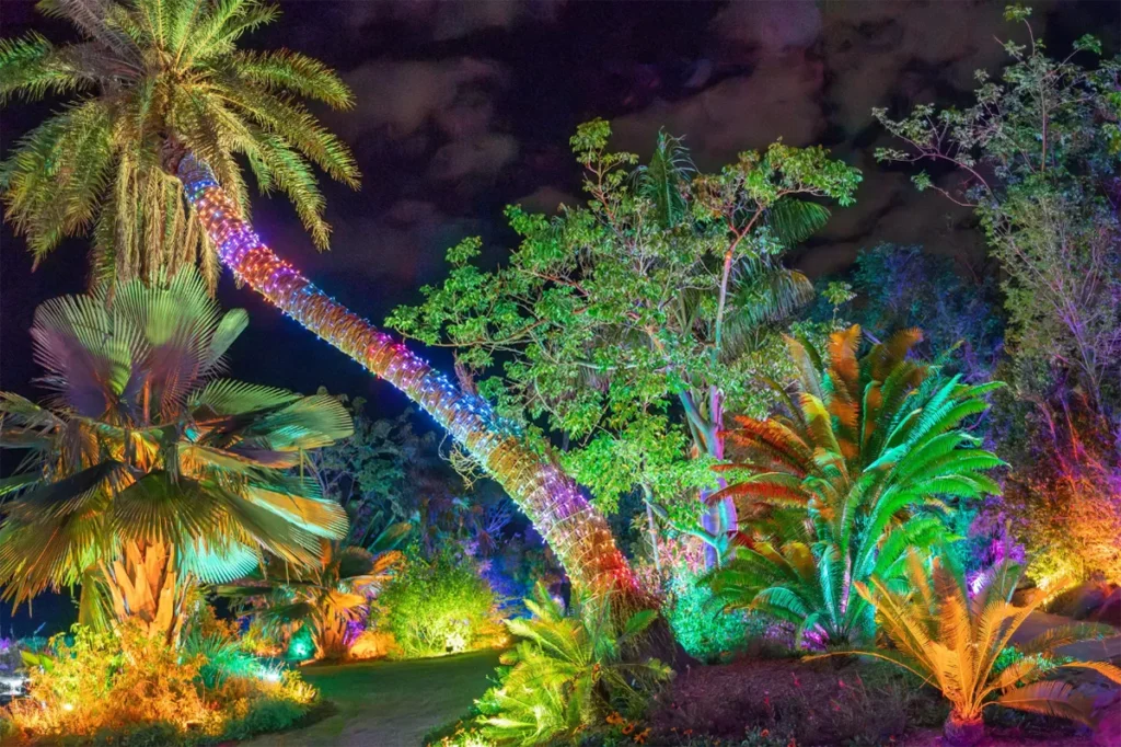 A light display at the Night Lights in the Garden.