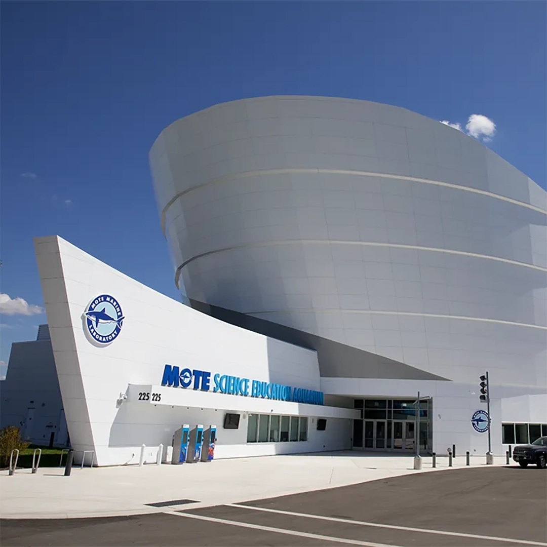 Flamingo MoteAquarium 2025