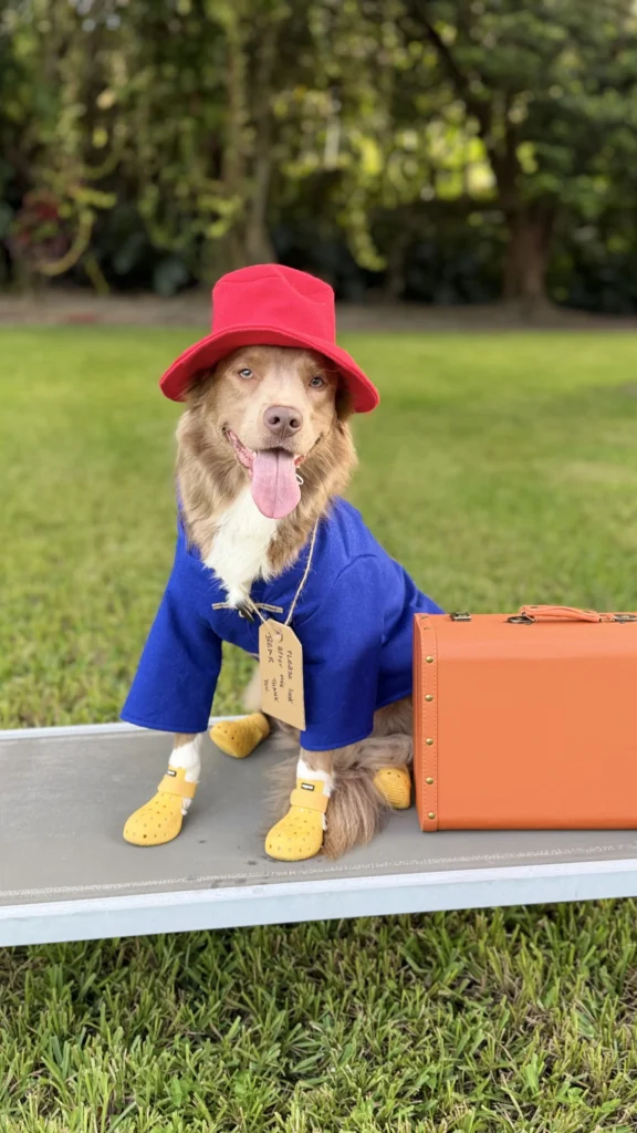 Meet Florida's Favorite Pets 10 IMG 0906 1