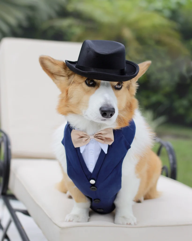 Meet Florida's Favorite Pets 8 IMG 6909a 2