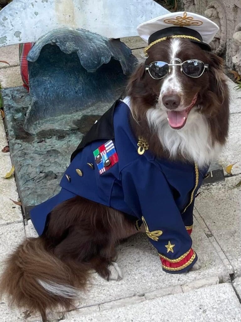 Meet Florida's Favorite Pets 4 IMG 8346 2