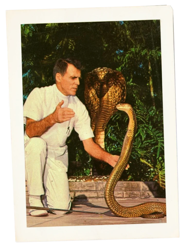 Bill Haast and a cobra
