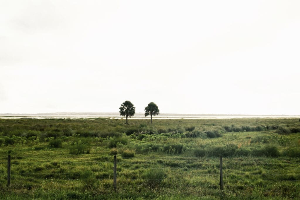Big Cypress National Preserve