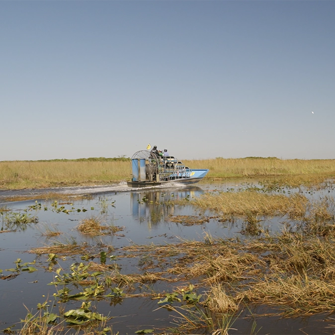 Flamingo EvergladesAirboatSquare 2025