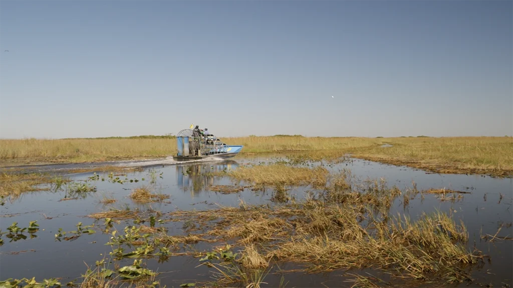 Restoring the River of Grass: What 25 Years of Work Has Revealed 1 Everglades airboat tour