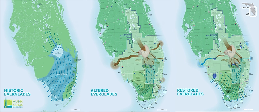 Restoring the River of Grass: What 25 Years of Work Has Revealed 5 Flow chart of water flow