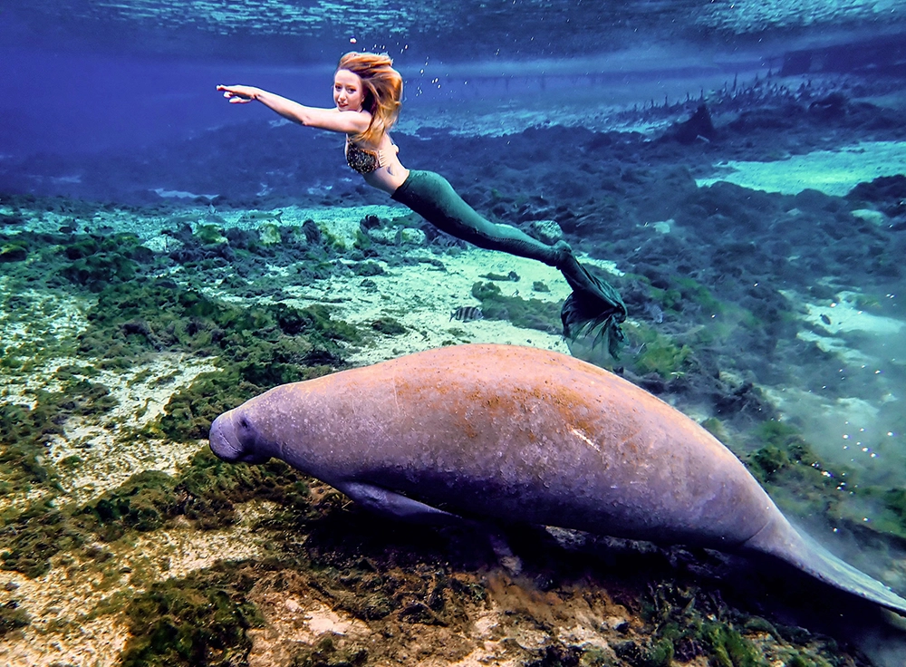 Flamingo MermaidCamp 2025