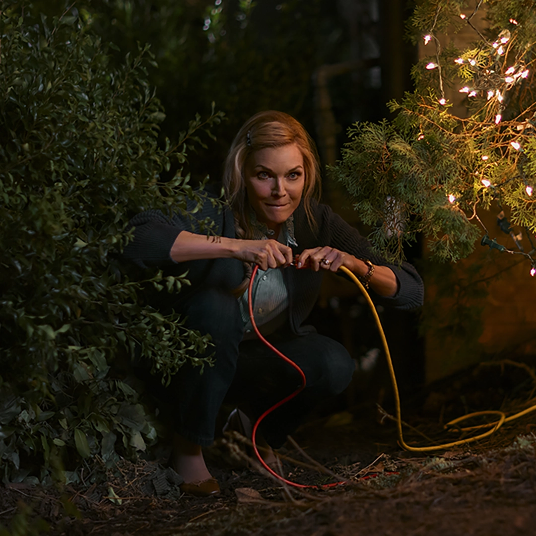 Flamingo OWFfeaturedimage 2025