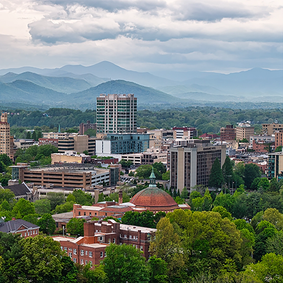 Flamingo Asheville 2026