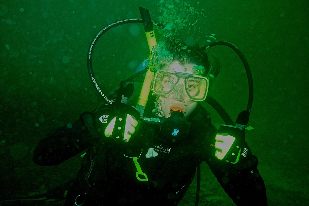 Flamingo CDdiving 2026