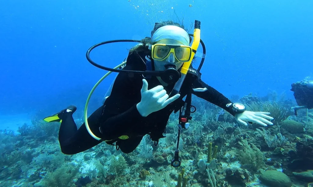 Flamingo MyFlorida 2026 6