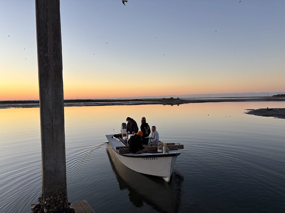 The 5-Year Apalachicola Oyster Ban Is Lifted 1 Oystermen in Apalachicola Bay