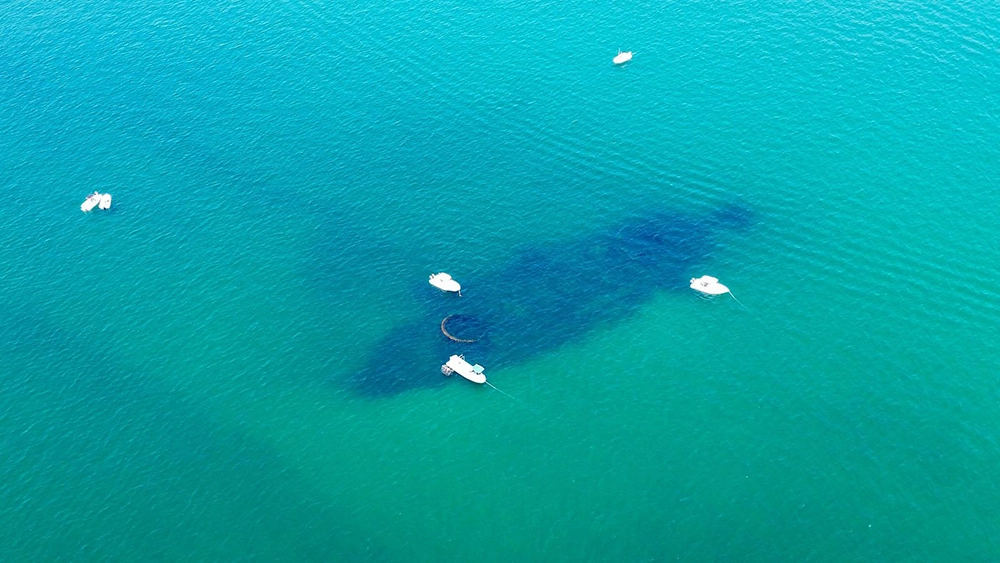 Flamingo Shipwreck 2026