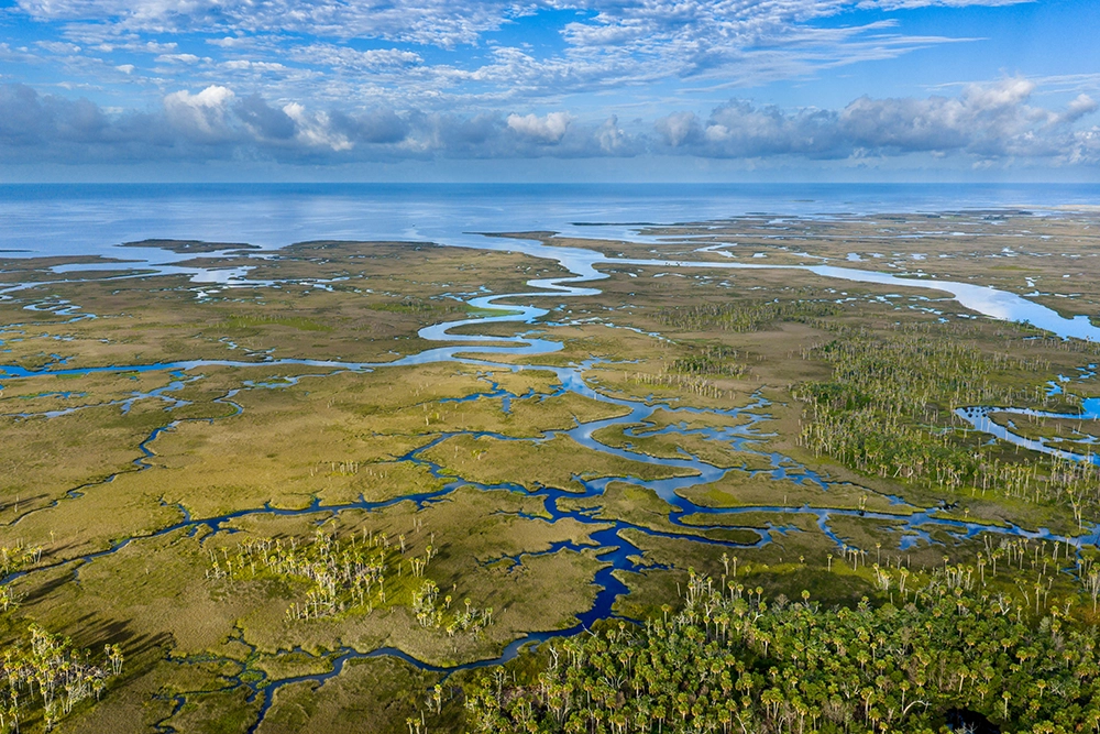 Carlton Ward Jr. Explores Florida's Wilderness Coast 1 Fenholloway River by Carlton Ward Jr.