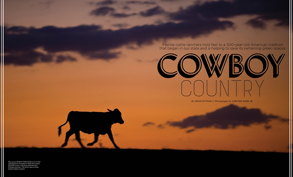 Cowboy Country