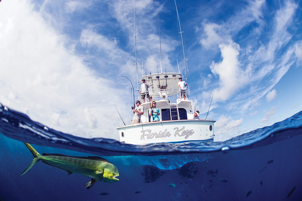 Flamingo FishingKeys 2026