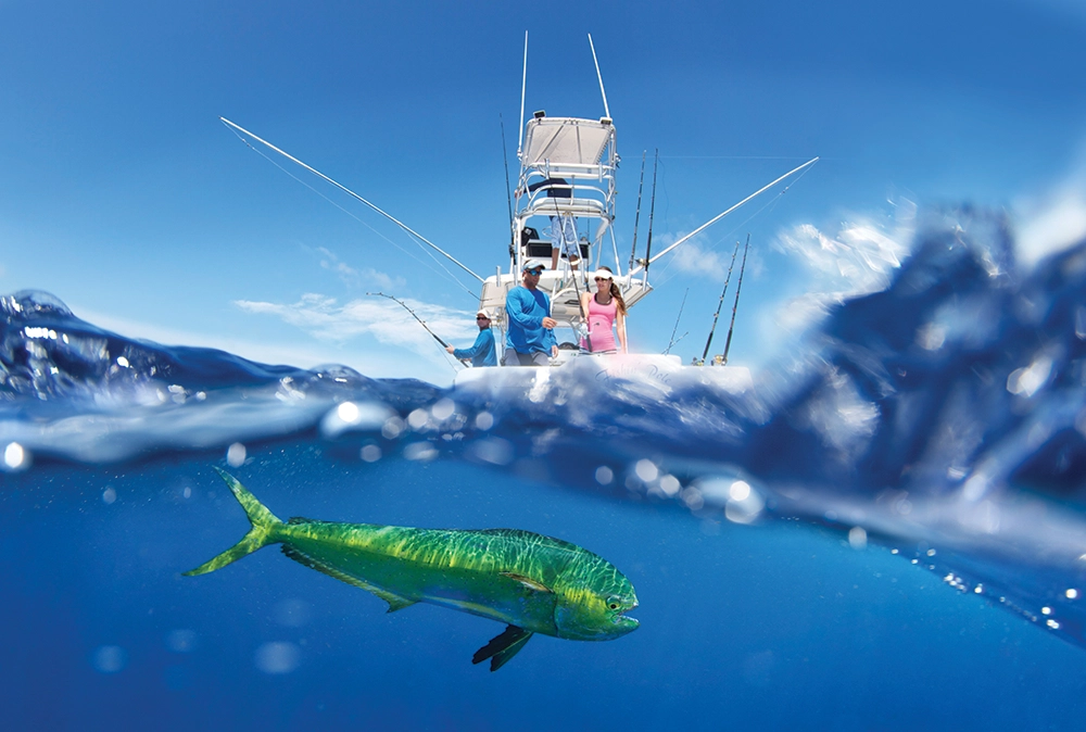 Elevate Your Adventure in the Florida Keys & Key West 1 fishing in the Florida Keys