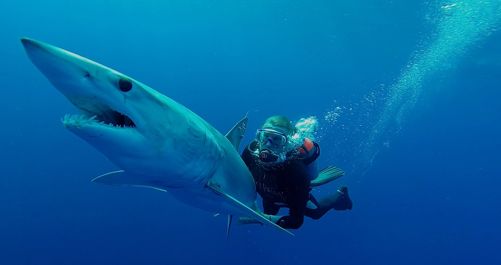 Guy Harvey On His Legacy and New Documentary 4 Guy Harvey with mako shark