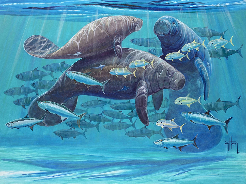 Guy Harvey On His Legacy and New Documentary 2 Guy Harvey painting "Manatee Escape"