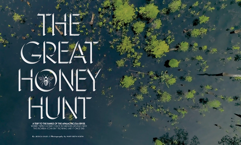 The Great Honey Hunt