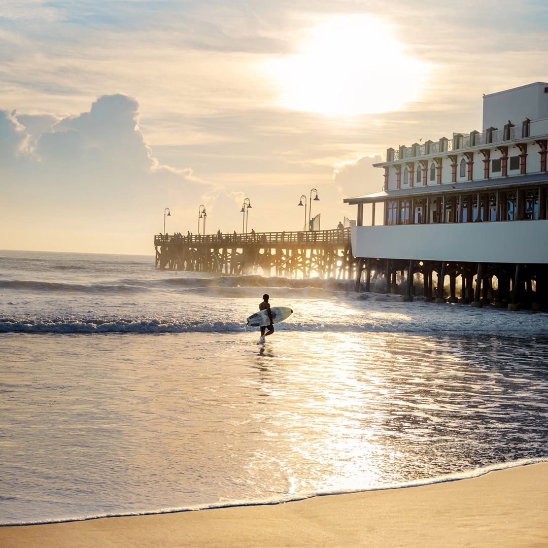 surfer daytona Flamingo 2026